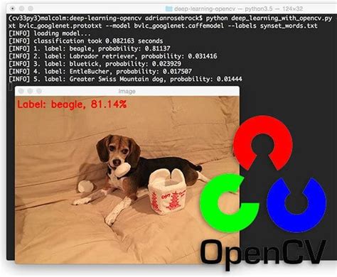 Deep Learning With Opencv Pyimagesearch
