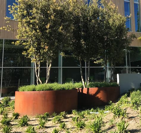 Corten Steel Round Vegetable Planters By Adezz Floraselect