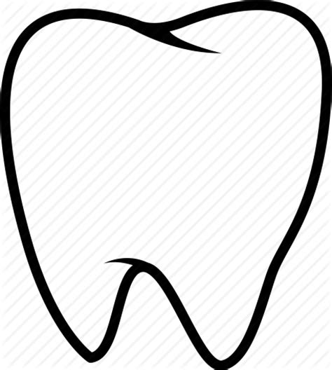 Tooth Vector Art At Getdrawings Free Download