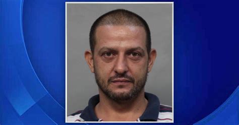 This is just a little diatribe on mice. Cops: Man arrested after body parts found near train ...