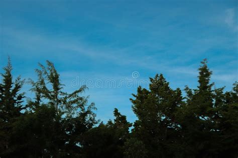 Astonishing Blue Twilight Stock Photo Image Of Emmerging 135652780