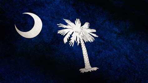 South Carolina State Flag Hd Backs