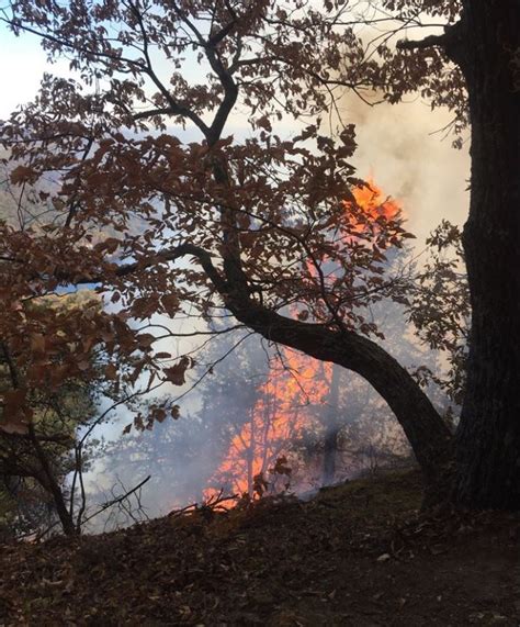 1000 Evacuated As Nc Mountain Wildfires Grow To Nearly 46000 Acres