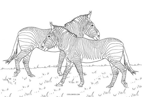Free Printable Zebra Coloring Pages For Kids