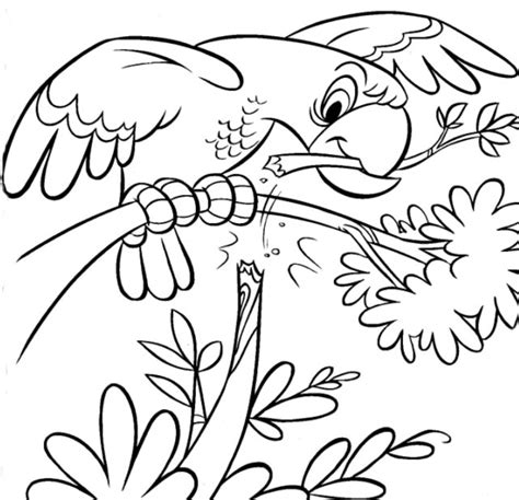 Coloring Now Blog Archive Animals Coloring Pages
