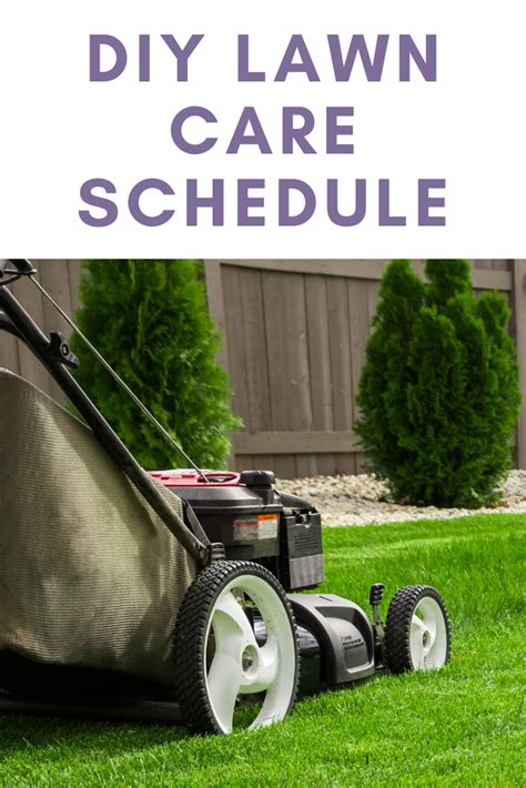 Reply jamie march 17, 2012 at 2:38 pm. DIY Lawn Care Schedule | Lawn care schedule, Lawn care, Spring lawn care