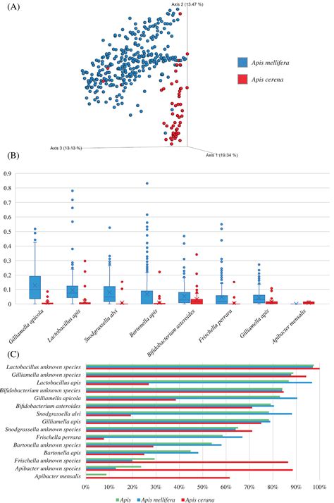 Exploring The Biodiversity Of Bifidobacterium Asteroides Among Honey Bee Microbiomes Lugli