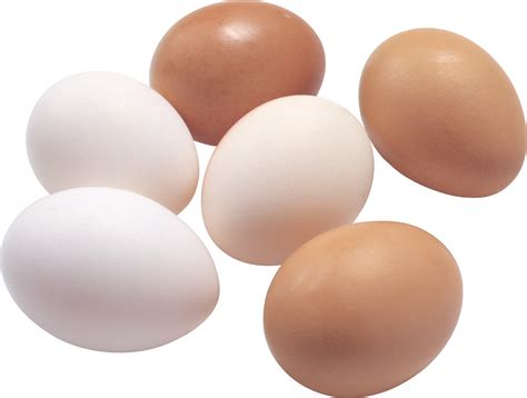 Isolated eggs for easter on transparent background. Eggs PNG image, free download PNG pictures of eggs