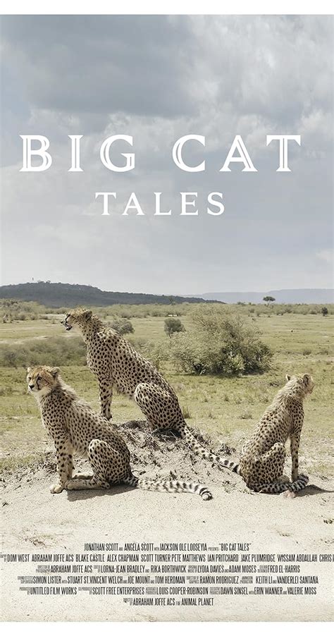 Big Cat Tales Season 2 Imdb