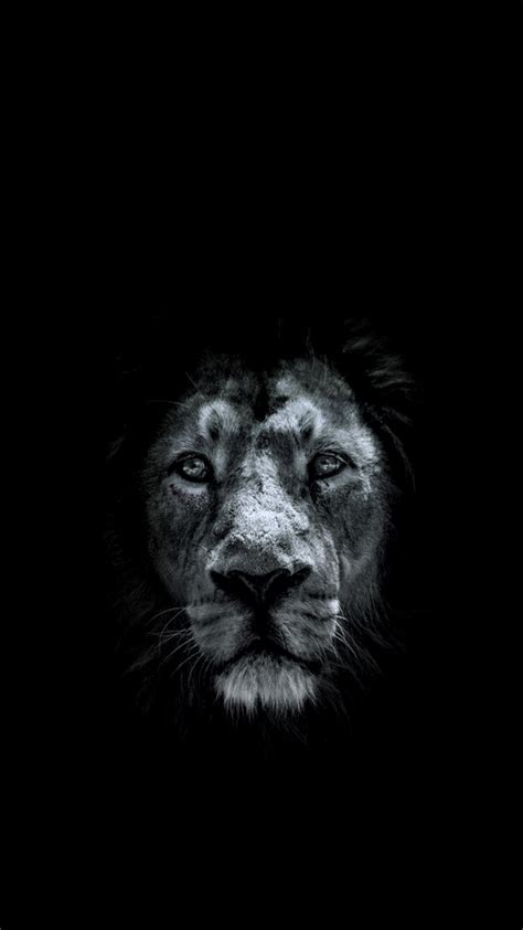 All black mobile wallpapers for cell phone are sorted by headings and keywords. Lion iPhone Wallpaper (79+ images)