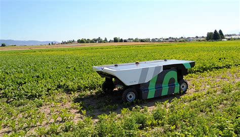Agricultural Weeding Robots Reduce Costs Benefits Workers And Protects