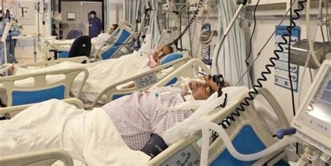 جان باختن 4 بیمار مبتلا به کرونا در 24 ساعت گذشته فارس