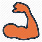 Arm Icon Muscle Fitness Gym Exercise Sport