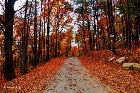 A Dirt Road Winds Through The Autumn Colors Hoodoo Wallpaper