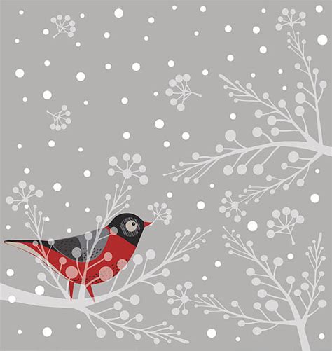 Winter Birds Illustrations Royalty Free Vector Graphics And Clip Art