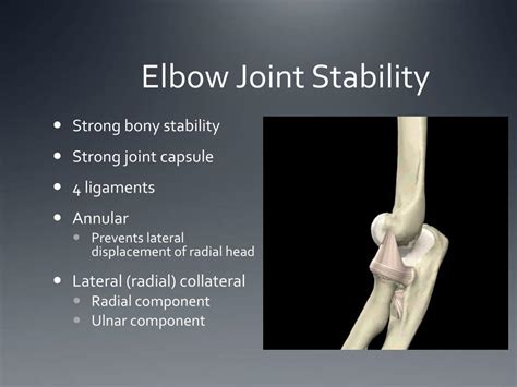 Ppt Elbow And Forearm Complex Powerpoint Presentation Free Download