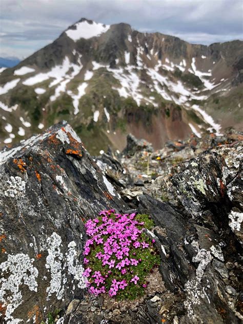 Meet Our Summer Hiking Guides Emelie Stenberg Whitecap Alpine