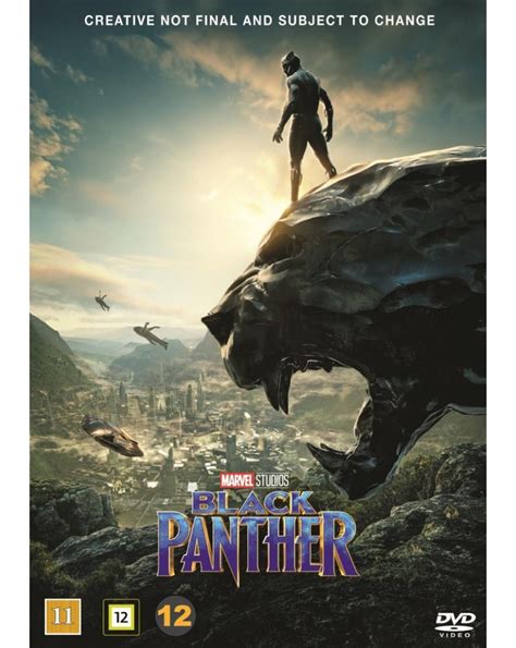 Black Panther 2018 Dvd