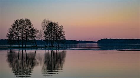 Wallpaper Sunlight Trees Sunset Sea Lake Water Nature