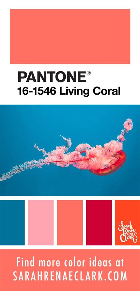 Color Palettes Inspired By Ocean Life And Pantone Living Coral