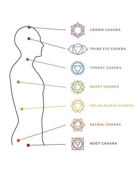A Complete Overview Of The Chakras Yogarenew