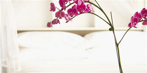 Feng Shui Your Hotel Room In 5 Minutes Huffpost