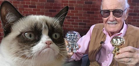 Grumpy Cat Dresses As Spider Man Princess Leia And Meets Stan Lee