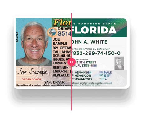 Florida Dmv Releases New License Miami Designer Revisualizes It