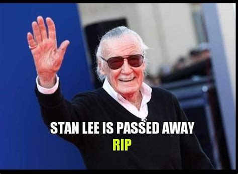 Em Cheppav Ra No More Stan Lee Cameos 😥😥😥 We Miss U Sir Facebook