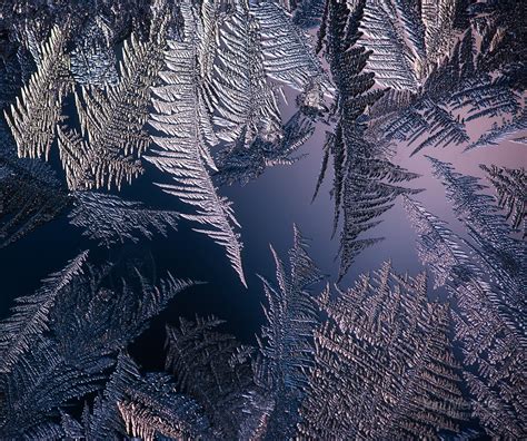 Frost On Window Blog Joni Niemelä Fine Art Photography