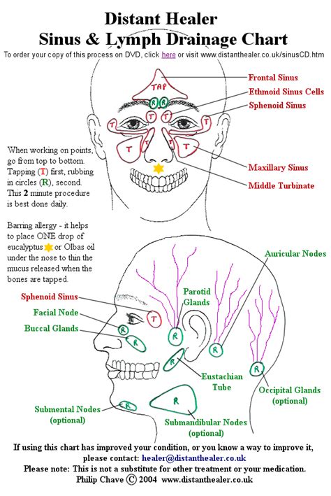 Sinus Problems Sinusitis Allergies Headaches And Lymphatic