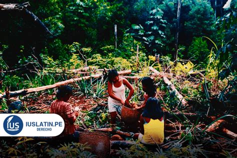 Pueblos Indígenas Realizan Plan De Vida Para Salvar La Amazonía Iuslatin