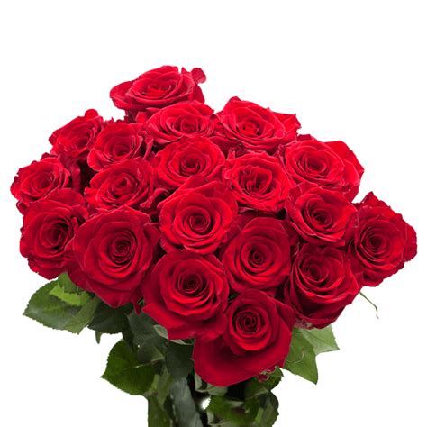 50 Stems Of Red Roses Beautiful Fresh Cut Flowers Express Delivery