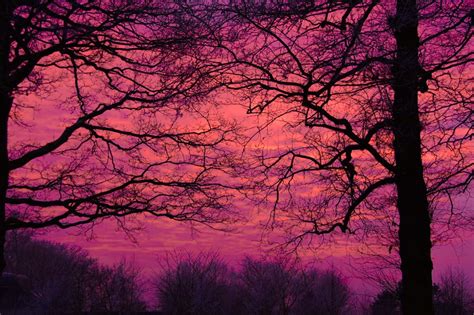 Wallpaper Sunlight Landscape Forest Sunset Nature Winter Purple