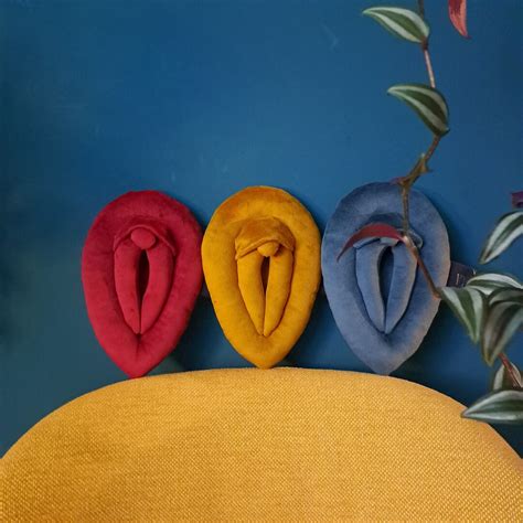 Vulva Pillows Plushie Vagina Cushions Set Of XS Size Pussy Etsy
