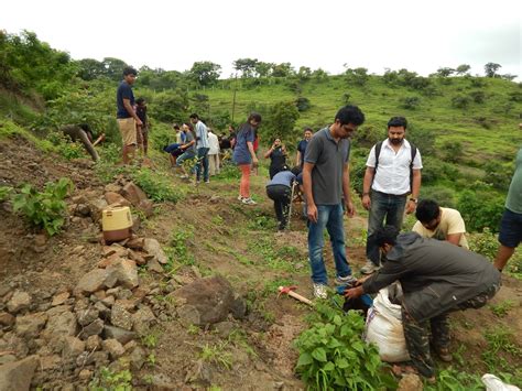 FORREST NGO Social Forestry