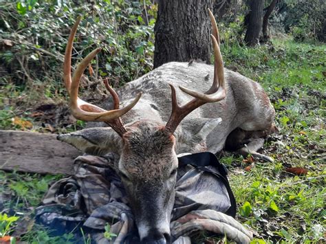 Huntstand Points Way To Newcomer Pa Buck Big Buck Alert Huntstand