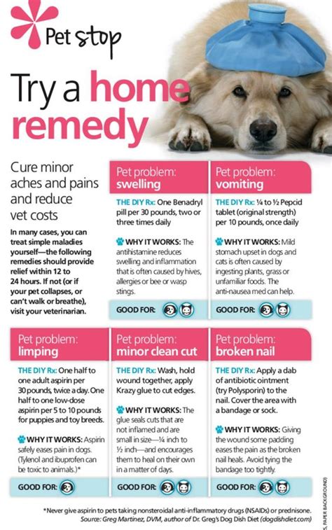 Amazing Diy Home Remedies For Dogs And Cats Pet Bounce