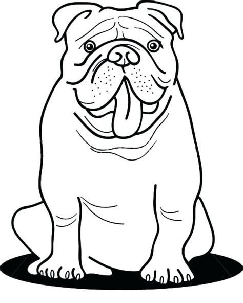 Bulldog Coloring Pages Best Coloring Pages For Kids