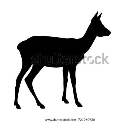 Vector Standing Doe Roe Deer Silhouette Stock Vector Royalty Free