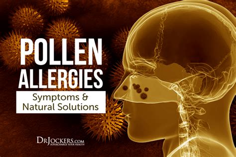 Pollen Allergies Symptoms And Natural Support Strategies Pollen