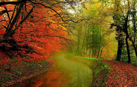 Обои осень лес листья вода деревья природа река Hdr прогулка