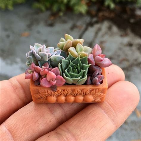 43 Mini Planters Made From Clay Unique Balcony And Garden Decoration