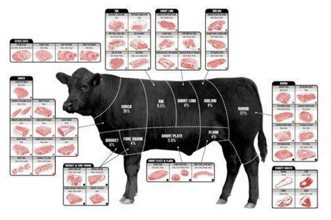 Beef Cuts Of Meat Butcher Chart Cattle Diagram Poster 16x24 3879672034