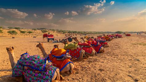 The Desert Splendour Of Rajasthan Tour Shikhar Blog