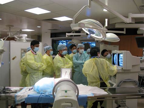 Department Of Orthopaedic Surgery National University Of Singapore