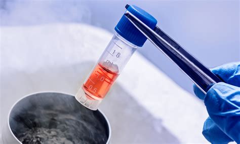 Cryopreservation Of Cells Biological Industries