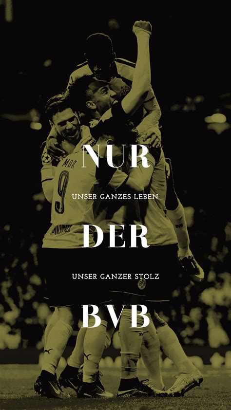 Jun 15, 2021 · haaland impressing with bvb. Pin von zlatanista auf bvb | Bvb dortmund, Borussia ...