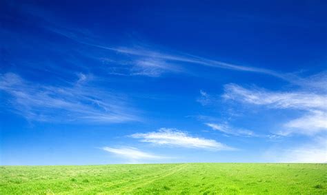 Online Crop Hd Wallpaper Green Grass Field The Sky Nature