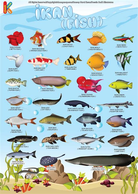 Free download high quality cartoons. Poster Belajar Mengenal Ikan 2 Bahasa | Ikan, Poster ...